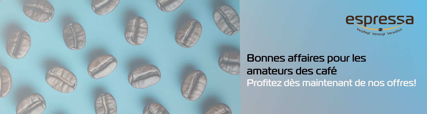 Sales Top Banner Subsite_FR