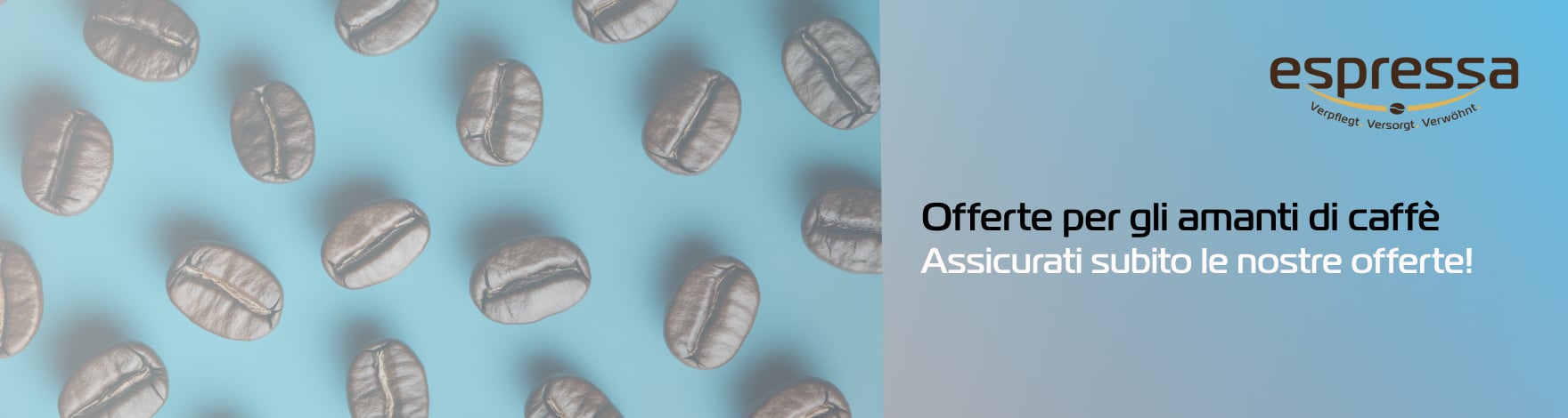 Sales Top Banner Subsite_IT